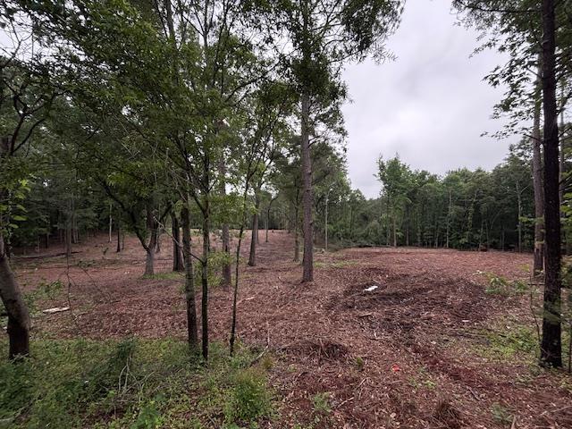 0 Peachview Blvd, Gaffney, SC 29341 - photo 15