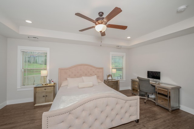 881 Cothran Rd, Inman, SC 29349 - bedroom featuring a raised ceiling, dark wood-type flooring, multiple windows, and recessed lighting