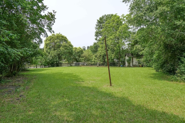 4421 New Cut Rd, Inman, SC 29349 - view of yard