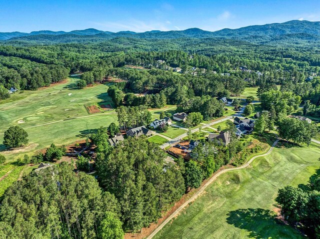 10 Laurelcrest Ln, Travelers Rest, SC 29690 - photo 47