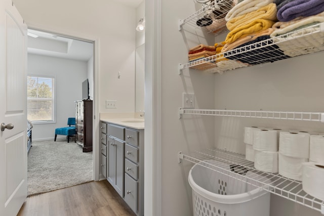 3008 Olivette Pl, Duncan, SC 29334 - full bathroom featuring wood finished floors, vanity, and a freestanding tub