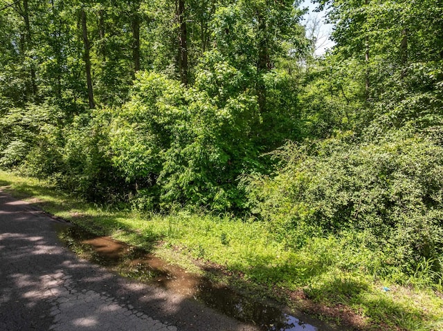 Foxfire Dr, Gaffney, SC 29340 - photo 4
