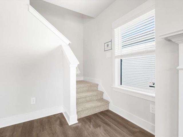 791 Burghley Cir, Greer, SC 29651 - stairway featuring wood finished floors and baseboards