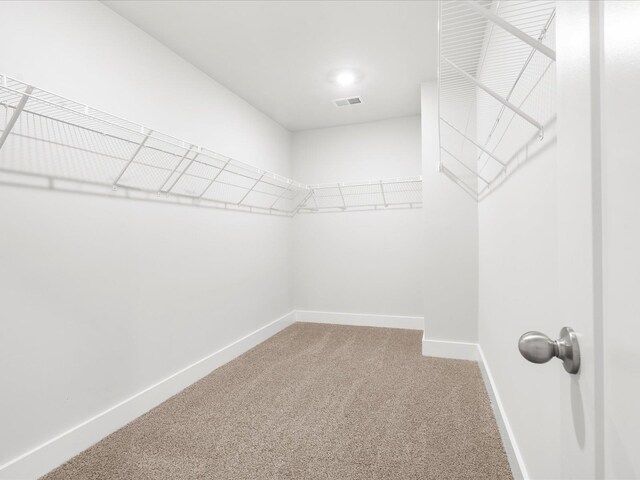 791 Burghley Cir, Greer, SC 29651 - walk in closet featuring carpet flooring