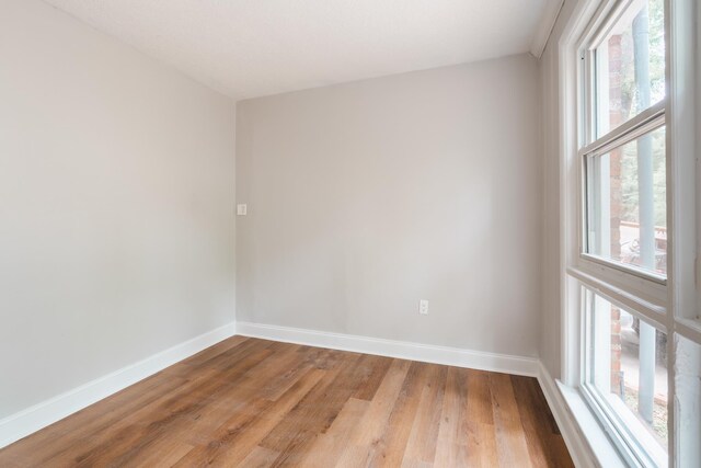 121 W Victoria Rd, Spartanburg, SC 29301 - photo 41