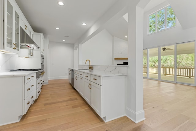 740 Enoree River Pl, Greer, SC 29651 - kitchen with range hood, glass insert cabinets, stainless steel appliances, light wood-type flooring, and white cabinets