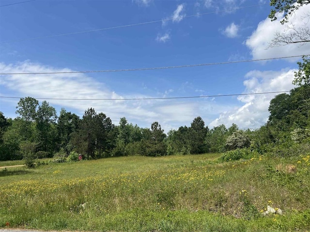 498 Biblebrook Dr, Greer, SC 29651 - photo 1