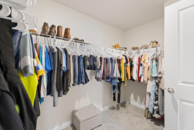 220 Emerald Creek Ave, Greer, SC 29651 - walk in closet with carpet flooring