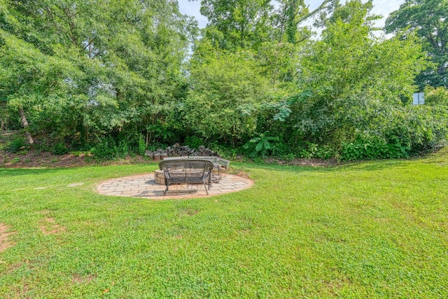 203 Palmetto Dr, Greer, SC 29651 - view of green lawn with a patio