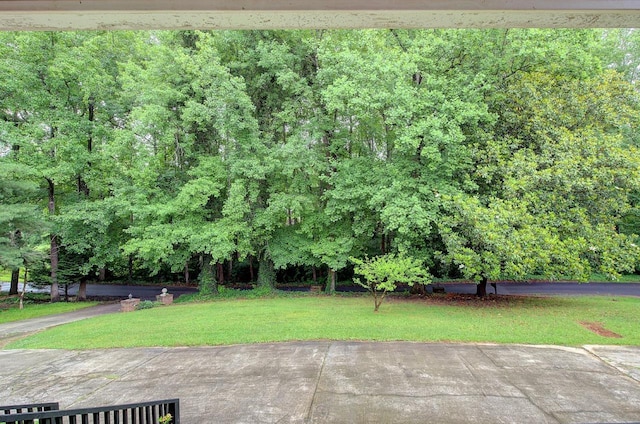 120 Branch St, Campobello, SC 29322 - view of grassy yard