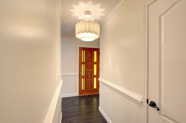 120 Branch St, Campobello, SC 29322 - corridor featuring ornamental molding, dark wood-type flooring, and a textured ceiling