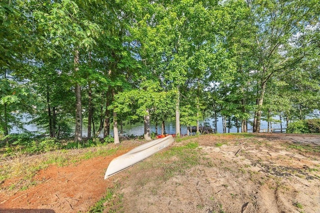 325 Reflection Dr, Lyman, SC 29365 - view of yard featuring a water view