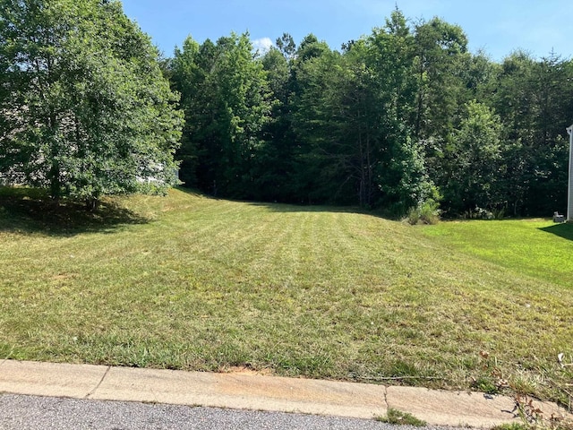 0 Carnahan, Spartanburg, SC 29306 - photo 1