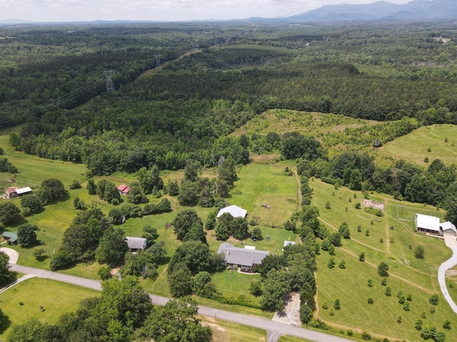 0 John High Rd, Campobello, SC 28322 - photo 12