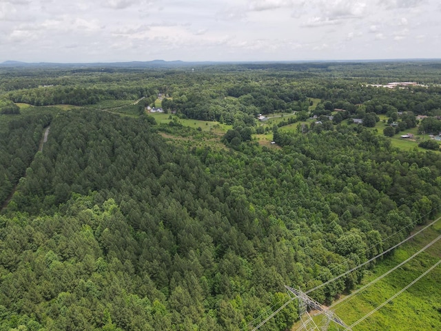 0 John High Rd, Campobello, SC 28322 - photo 16