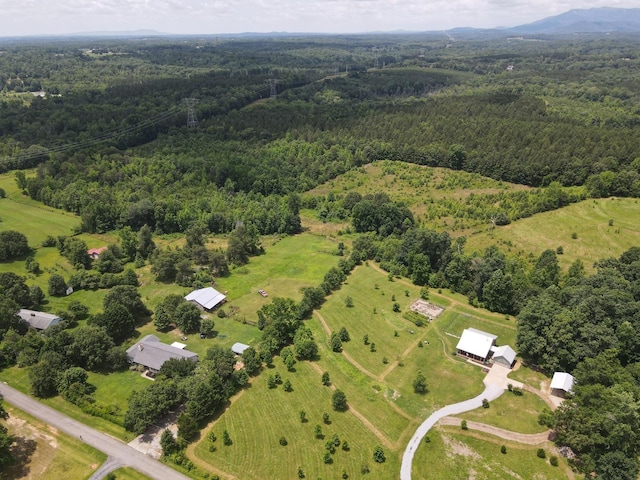 0 John High Rd, Campobello, SC 28322 - photo 19