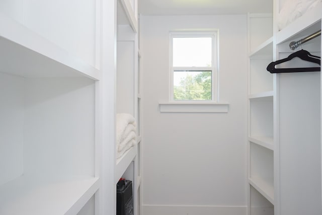 125 Patton St, Fountain Inn, SC 29644 - view of spacious closet