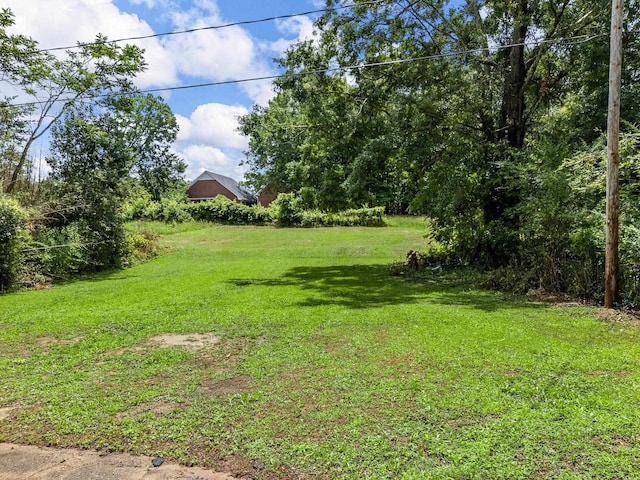 177 Continental Dr, Spartanburg, SC 29302 - view of green lawn