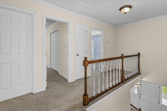 21 Glen Eagle Pl, Spartanburg, SC 29301 - corridor featuring attic access, an upstairs landing, carpet, and crown molding