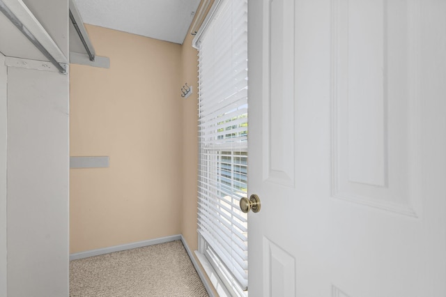 21 Glen Eagle Pl, Spartanburg, SC 29301 - walk in closet featuring carpet