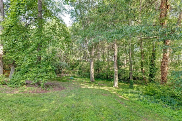 21 Glen Eagle Pl, Spartanburg, SC 29301 - view of grassy yard featuring a wooded view