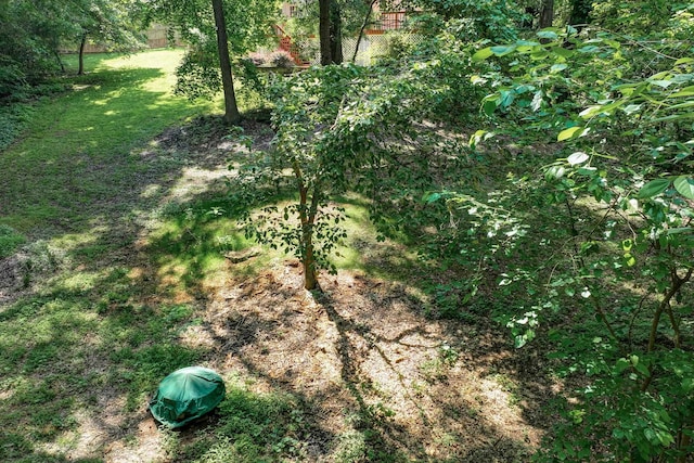 21 Glen Eagle Pl, Spartanburg, SC 29301 - view of grassy yard