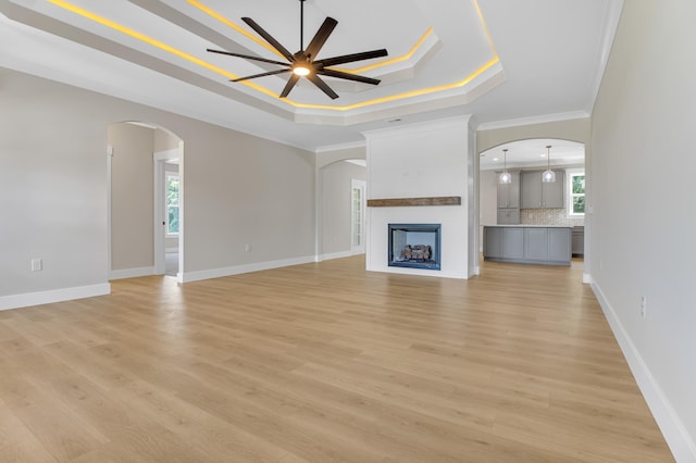 11555 New Cut Rd, Campobello, SC 29322 - unfurnished living room featuring a raised ceiling, arched walkways, ornamental molding, a ceiling fan, and light wood-type flooring