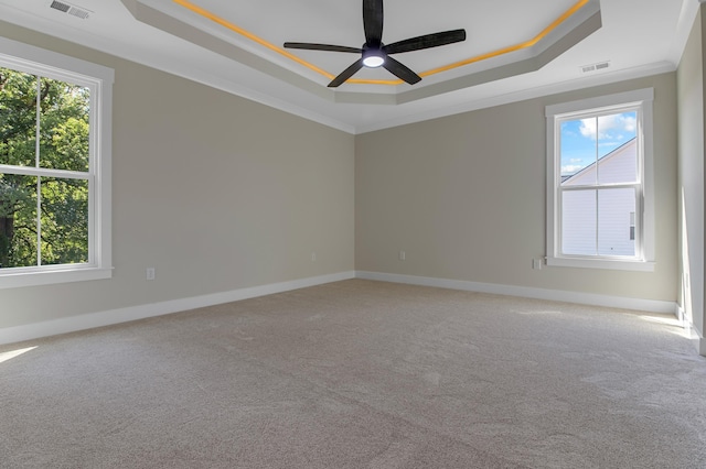 11555 New Cut Rd, Campobello, SC 29322 - spare room featuring a raised ceiling, plenty of natural light, ceiling fan, and crown molding