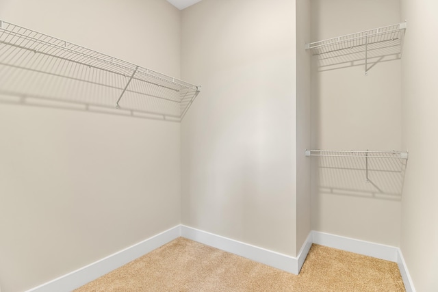 11555 New Cut Rd, Campobello, SC 29322 - walk in closet featuring light colored carpet
