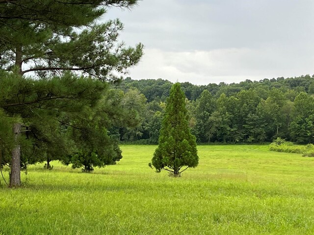 540 Bascule Ridge Ln, Campobello, SC 29322 - photo 5