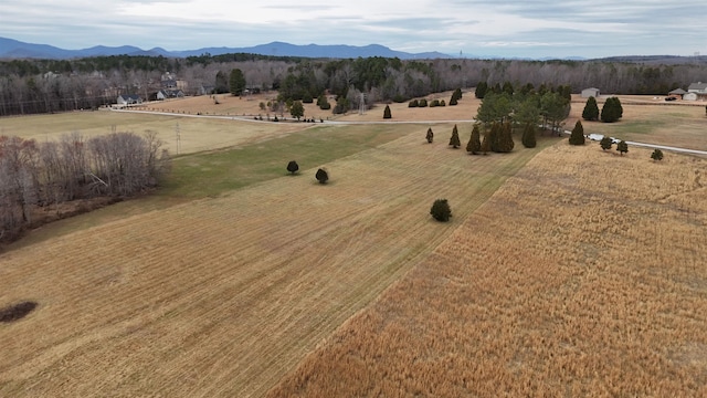 540 Bascule Ridge Ln, Campobello, SC 29322 - photo 7