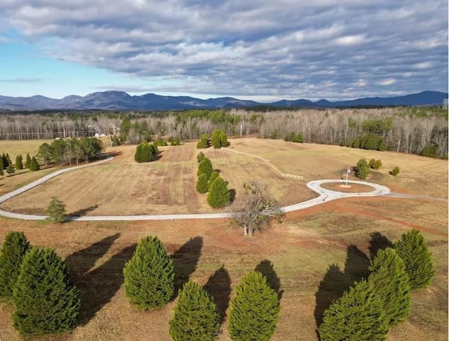 540 Bascule Ridge Ln, Campobello, SC 29322 - photo 2