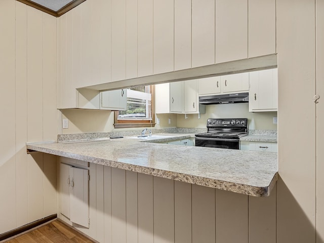 308 Pine Lake Ct, Spartanburg, SC 29301 - kitchen with black range with electric stovetop, under cabinet range hood, light countertops, and a peninsula