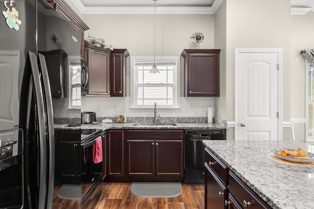 906 John Thomas Way, Greer, SC 29651 - kitchen with black fridge, dishwashing machine, dark wood-style flooring, ornamental molding, and dark brown cabinetry