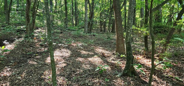 LOT71 Serpentine Dr, Columbus, NC 28722