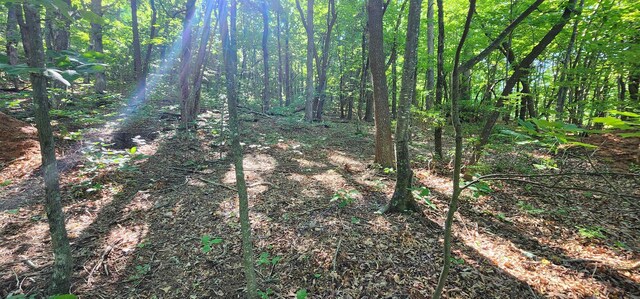 LOT71 Serpentine Dr, Columbus, NC 28722
