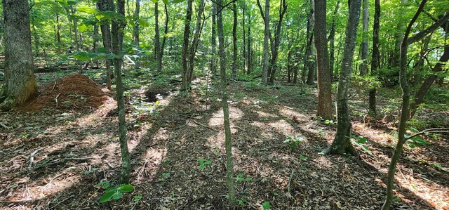 LOT71 Serpentine Dr, Columbus, NC 28722