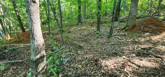 LOT71 Serpentine Dr, Columbus, NC 28722