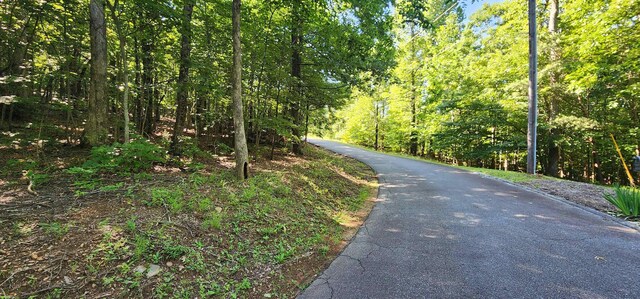 LOT71 Serpentine Dr, Columbus, NC 28722