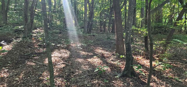 LOT71 Serpentine Dr, Columbus, NC 28722