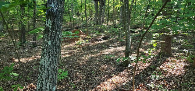 LOT71 Serpentine Dr, Columbus, NC 28722