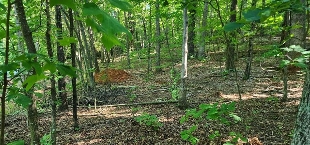 LOT71 Serpentine Dr, Columbus, NC 28722