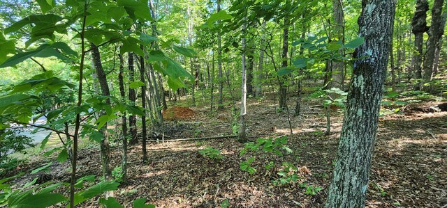 LOT71 Serpentine Dr, Columbus, NC 28722
