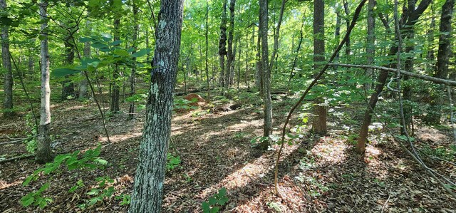 LOT71 Serpentine Dr, Columbus, NC 28722