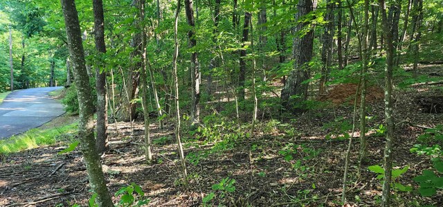 LOT71 Serpentine Dr, Columbus, NC 28722