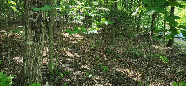 LOT71 Serpentine Dr, Columbus, NC 28722