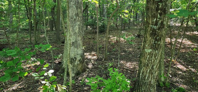 LOT71 Serpentine Dr, Columbus, NC 28722