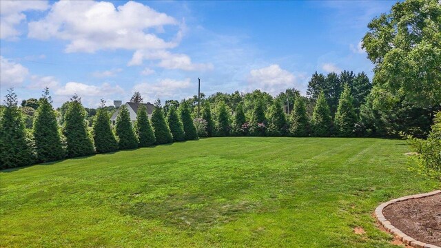 126 Patti Ct, Cowpens, SC 29330 - photo 27