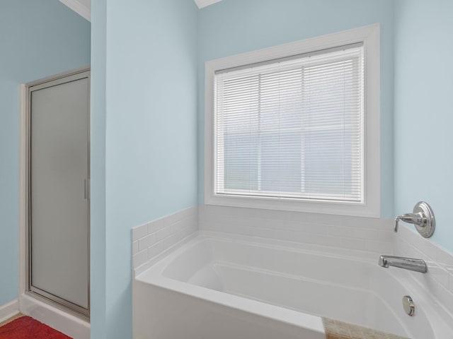234 Page Creek Blvd, Landrum, SC 29356 - full bathroom with a bath, plenty of natural light, and a shower stall