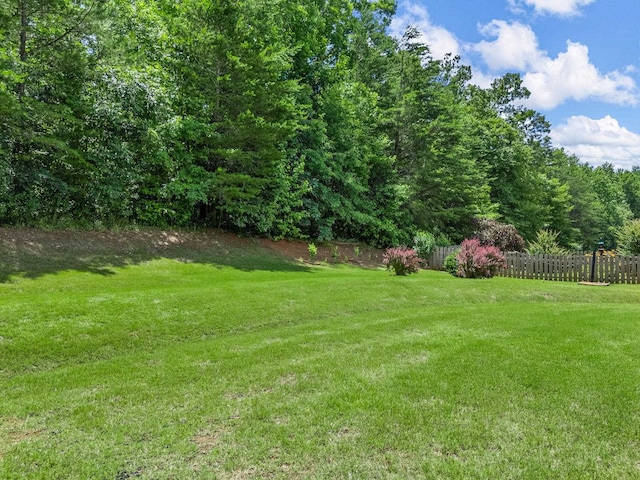 234 Page Creek Blvd, Landrum, SC 29356 - view of yard